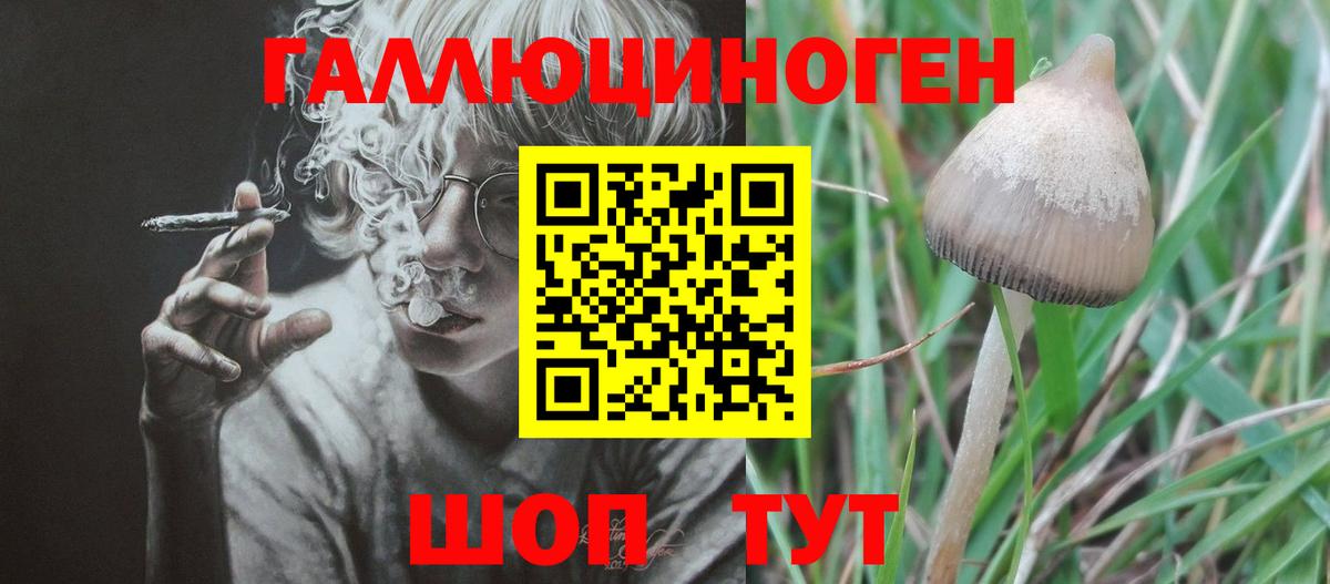 Галлюциногенные грибы ЛСД  Вход с VPN  Тихвин 